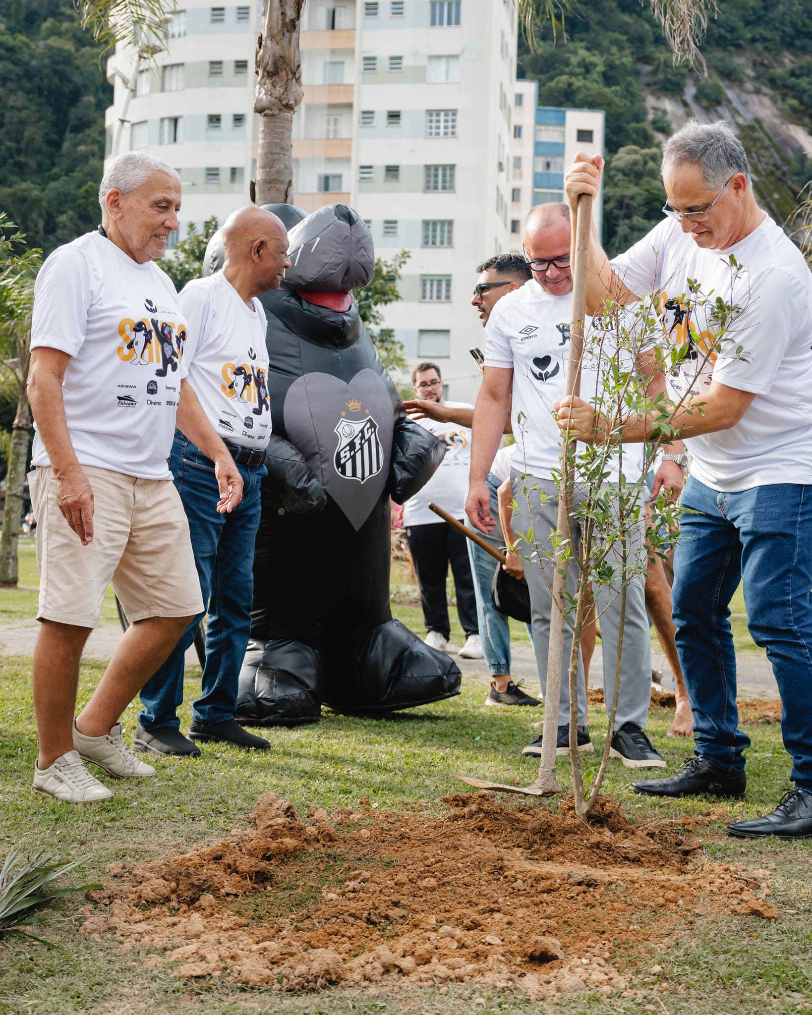 Plantio de árvores marca início de ações
