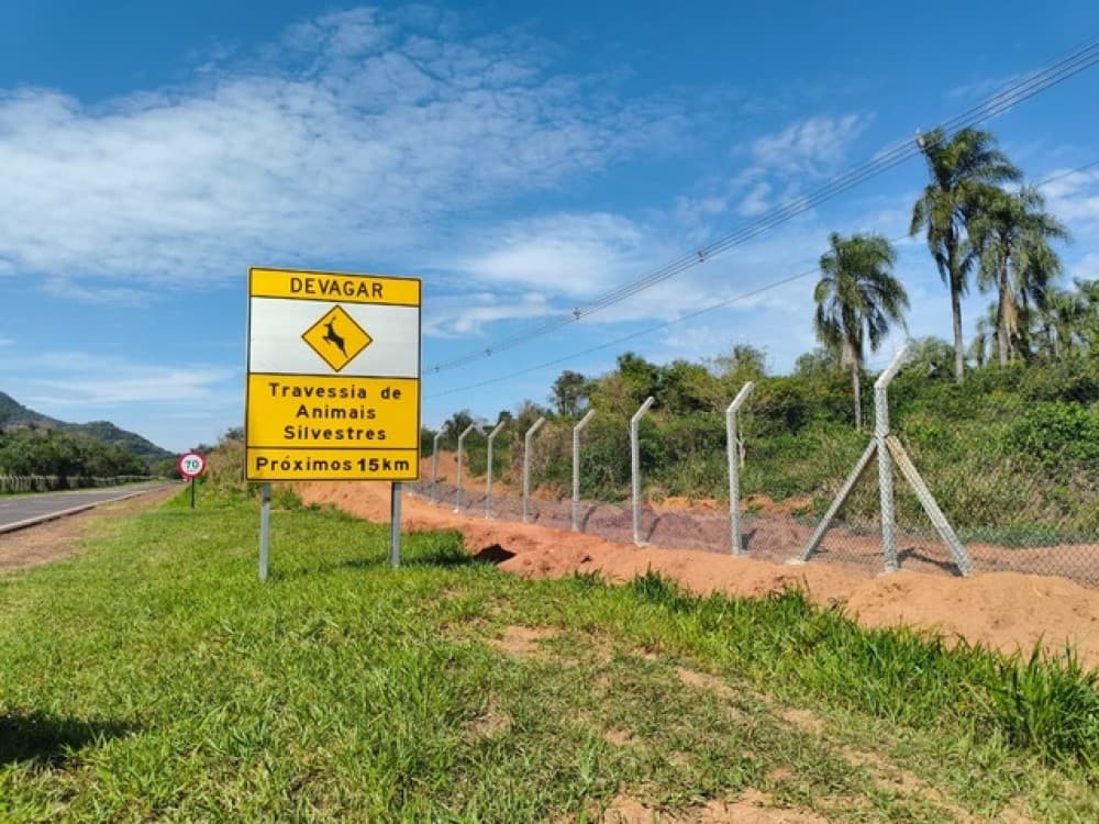 Alambrados protegem fauna em trecho da SP-613